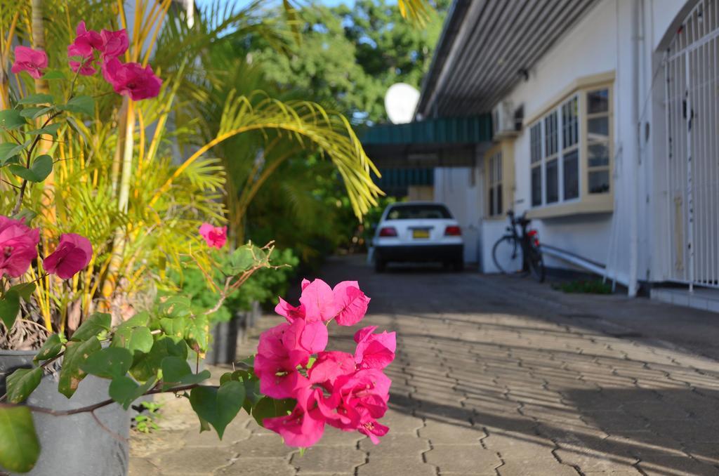 Rani'S Gastenverblijf Paramaribo Exterior photo